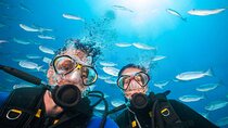 Intro Scuba Diving Trip, 2 Dives & Lunch With Transfer – Hurghada