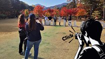 Nami Island Private Photo Tour with options