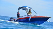 Private Speedboat 4-Hour Snorkeling Trip with Transfer-Marsa Alam