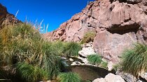 Purilibre Trekking: Disconnection and Nature