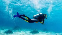 Discover Angra Dos Reis Shared Walking Tour