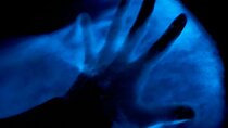 Bioluminescent Kayak Tour in Floridas Indian River Lagoon