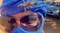 From Agadir Sahara Desert Day Trip and Camel Ride