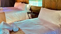 3 Day Pilanesberg Camping Safari from Johannesburg