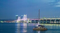 Busan Private Custom Tour Half Day or Full Day