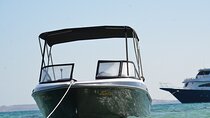 Half Day Mahmya Island Snorkeling Sea Trip - Private Speedboat 