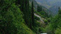 Private Driver Bishkek, Ala-Archa and Issyk-Kul Day Trips