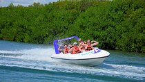 Jungle Tour and Mayan Experience in Cancun with Lunch