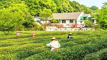 1 Day Hangzhou Private Tour - Adventure crafted in your way