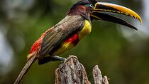 Manu National Park Tour 3 Days