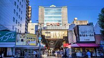 From Osaka Port 10 Hour Osaka Private Tour with Itinerary