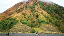 From Yogyakarta to Bali : Bromo and Kawah Ijen in 3 Day Adventure