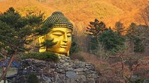 Amazing Gyeonggi Tour