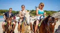 Unlimited Horseback Riding Tour in Punta Cana 