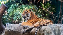 Private Luxury Jaipur Day Tour with Jhalana Safari