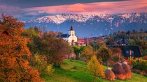 Bear Sanctuary, Bran Castle & Scenic Picnic Half Day Tour