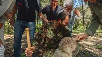 Truffle hunting with Pasta Lunch, Wine and a San Gimignano Walk