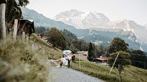 Private Photo Session with a Local Photographer in Interlaken
