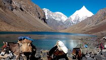 Druk Path Trekking Paro from Bhutan to Thimphu 8 Nights 9 Days