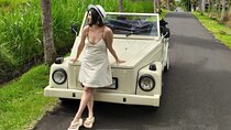 Ubud VW Tour with Monkey Forest and Cooking Class