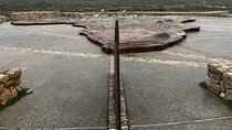 Oceans Meet Penguins at the Southernmost Cape Agulhas Tour 