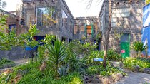 Mexico City Layover Tour Art, Culture and Color