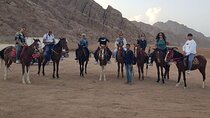 2 Hour Horse Riding Through the Sinai Desert – Sharm El Sheikh