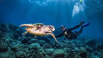 Advanced Open Water Diving Course in the Red Sea –Sharm El Sheikh