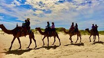 Anna Bay and Nelson Bay NSW tours like Dubai safari experience