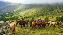 4-Day Horseback Adventure to Khagiin Khar Lake
