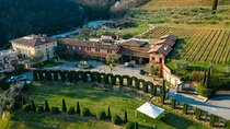 Wine Tasting Experience at Crama Rasova Winery