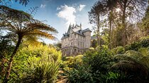Sintra walking tour & Tasting