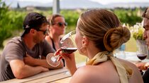 Alcudia Winecellar Tour with Vineyard Visit, Tasting of 5 Wines