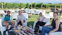 Countryside Wine Experience with Local Food and Vineyard Views
