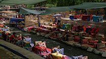 Full Day Trip To Ourika Vallee