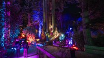 LUMA Enchanted Whimsical Sensory night walk