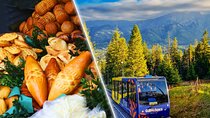 Zakopane Guided Tour or Thermal Baths with Transfer from Krakow