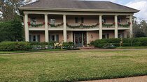 2 Hour December Holiday Lights Tour