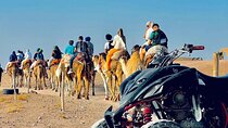 Agafay Desert Package Quad Bike and Camel Ride & Dinner