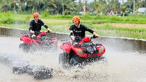 Bali Gorilla ATV Adventure With Meals
