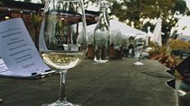 Waipara Valley Winery Tour Wine Tastings and Scenic Views