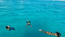 Luxury Snorkeling Tour - MasterCraft X Star - Tour in Cancun 2hr