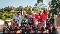 Osaka Castle 90min Go Karting Tour