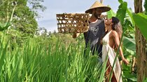Ubud Healing Retreat Yoga, Massage, Purification Rice Terraces