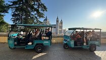 Explore Malaga comfortably with Electric Tuktuk