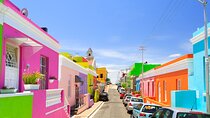 Full Day Cape Town City Tour Table Mountain and Heritage Sites