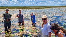 90 Minute Small Group Semi Private Airboat Tour