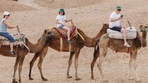 Agafay Desert Camel Ride and Quad Biking with Dinner and Show