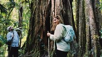 Tamblingan Jungle Trekking All-Inclusive: Hikes & Canoe Adventure