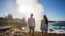 Kiama & Kangaroos - Sydney South Coast Escape Private Tour
